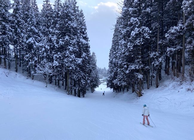 Good Availability Nozawa Onsen