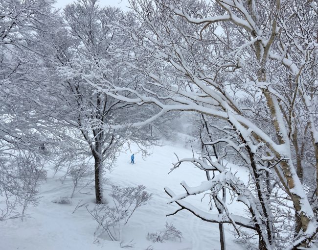 Good Availability Nozawa Onsen