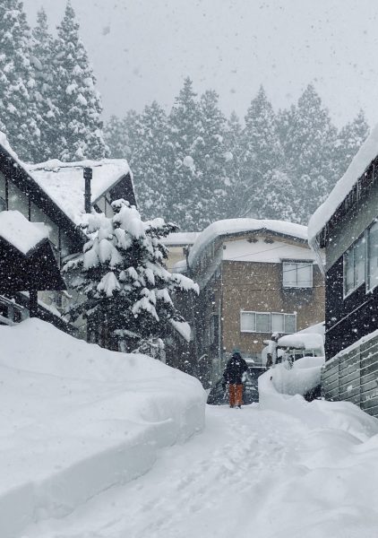 So Much Snow Nozawa 