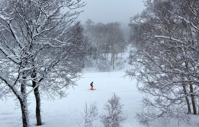 All Safe Nozawa Onsen