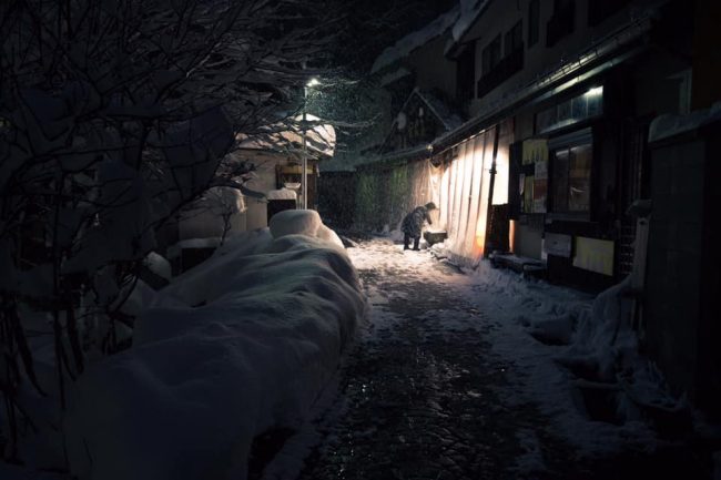 February Snow Nozawa Onsen 