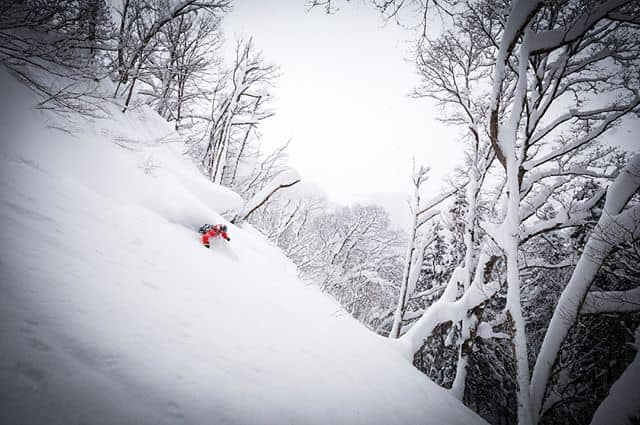 Great Day Nozawa Onsen 