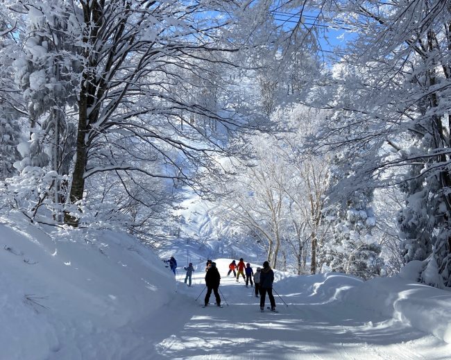 Book Holiday Nozawa Onsen