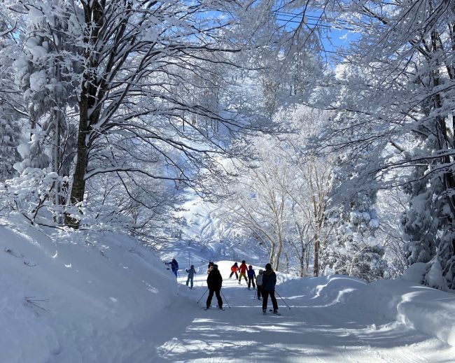 Book Holiday Nozawa Onsen 