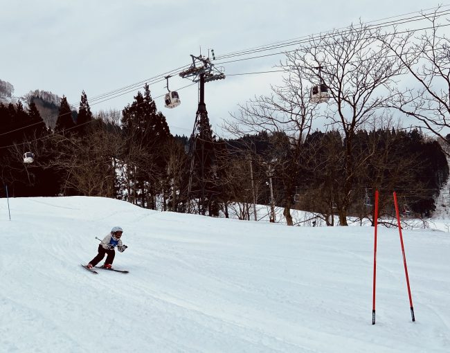 Ski Racing Nozawa Onsen 