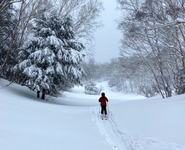 March Peak Snow Nozawa