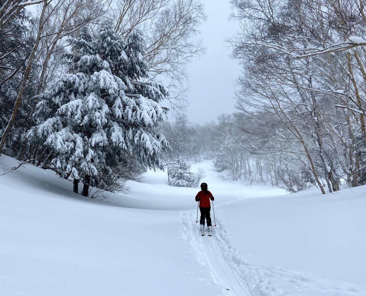 March Peak Snow Nozawa 