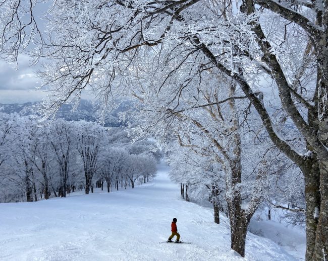 Best Ski Resort Japan 