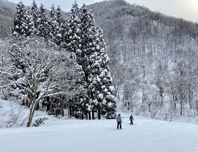 March Discount Nozawa Onsen 