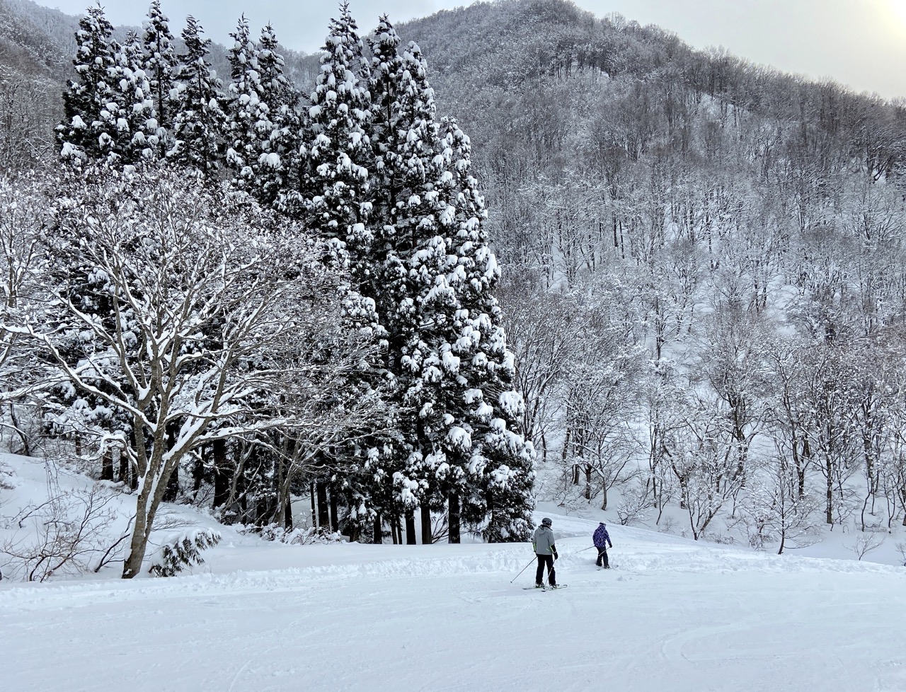 March Discount Nozawa Onsen