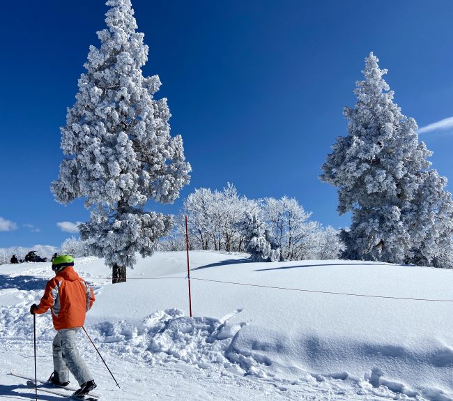 March Skiing Corona Nozawa 