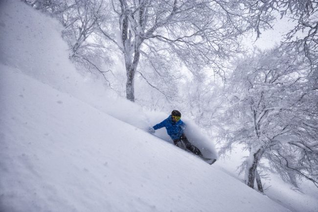 Snow Forecast Nozawa Onsen 