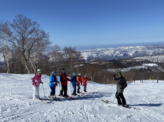 Cherry Blossoms Nozawa 2020 