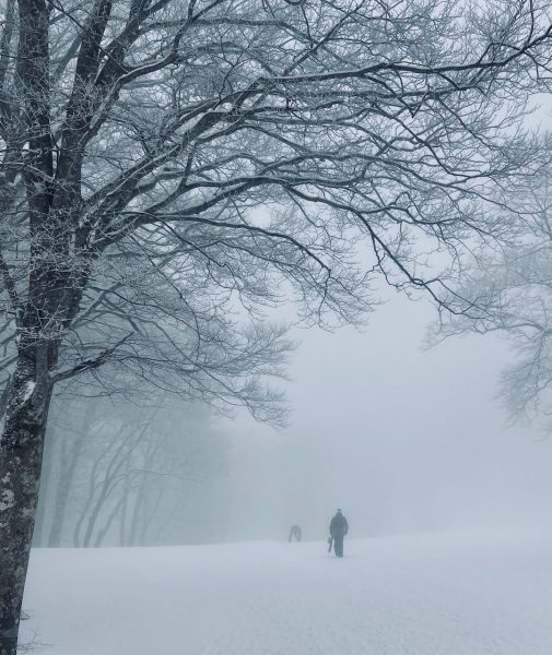 April Snow Holiday Japan
