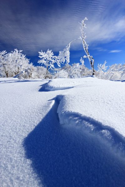 Flashback Friday Nozawa Onsen 