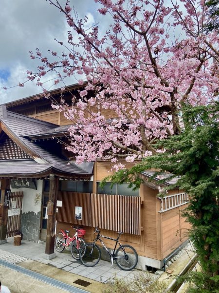 Spring Time Nozawa Japan 