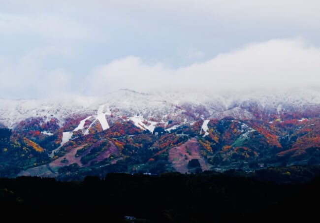 First Snow Nozawa Village 