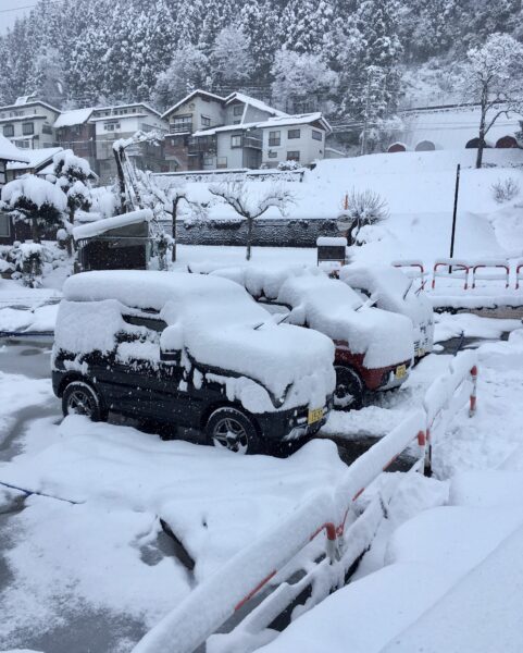 Nozawa Onsen Snow Report Dumping