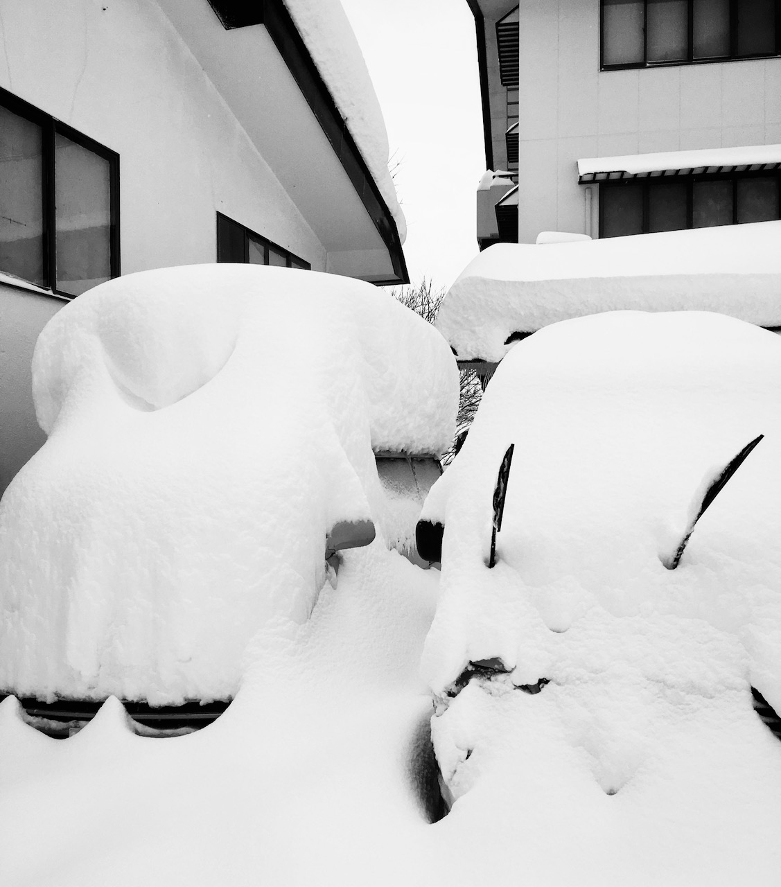 Ski Rental Nozawa Onsen