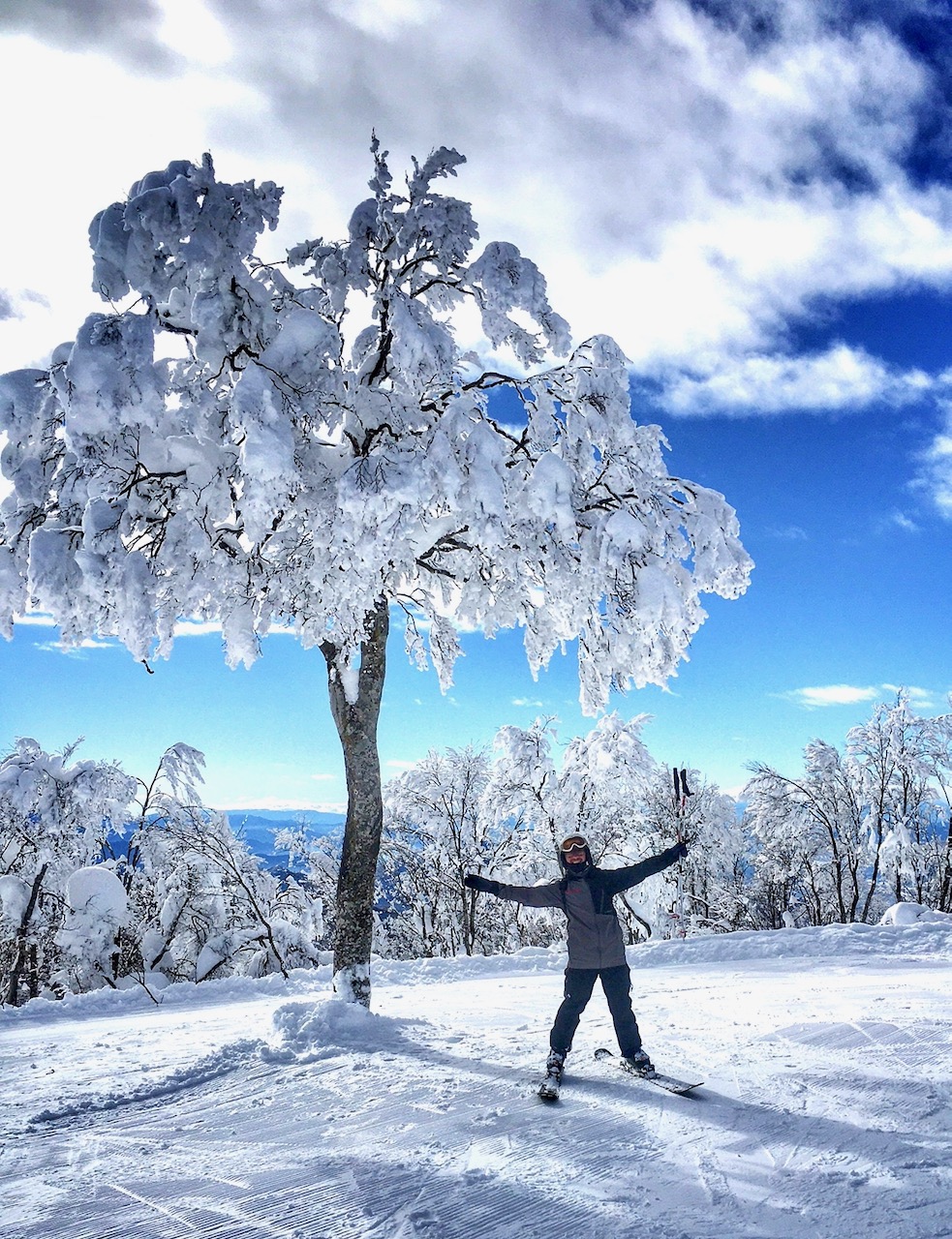 Whole Resort Open Nozawa Onsen