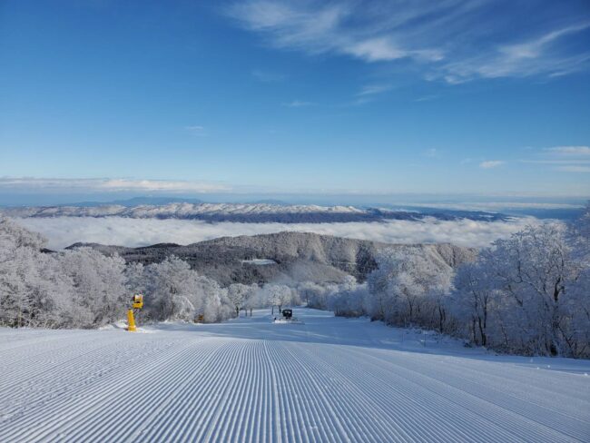 Nozawa Onsen Open 2021