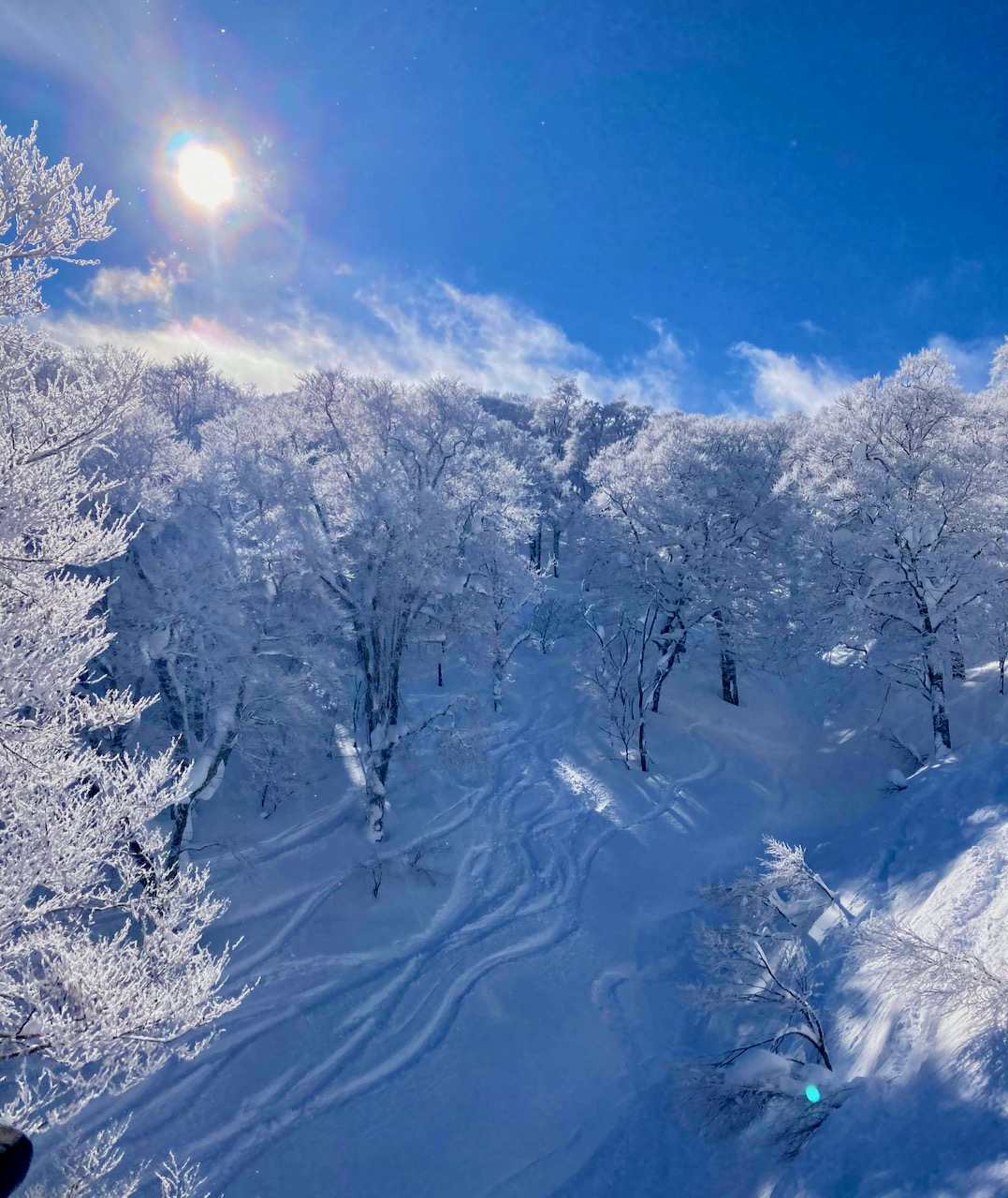 Powder Snow Nozawa Japan 