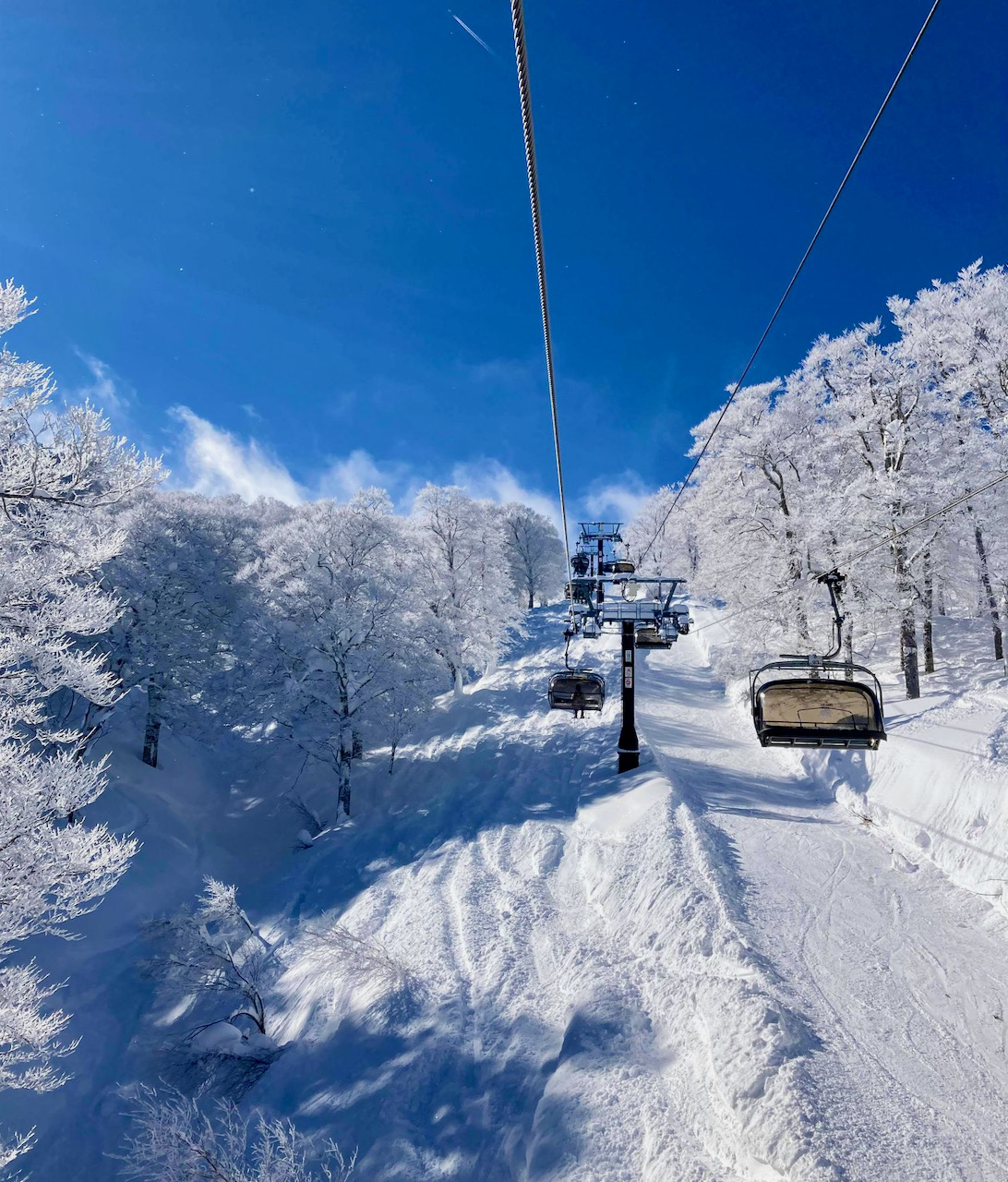 Powder Snow Nozawa Japan