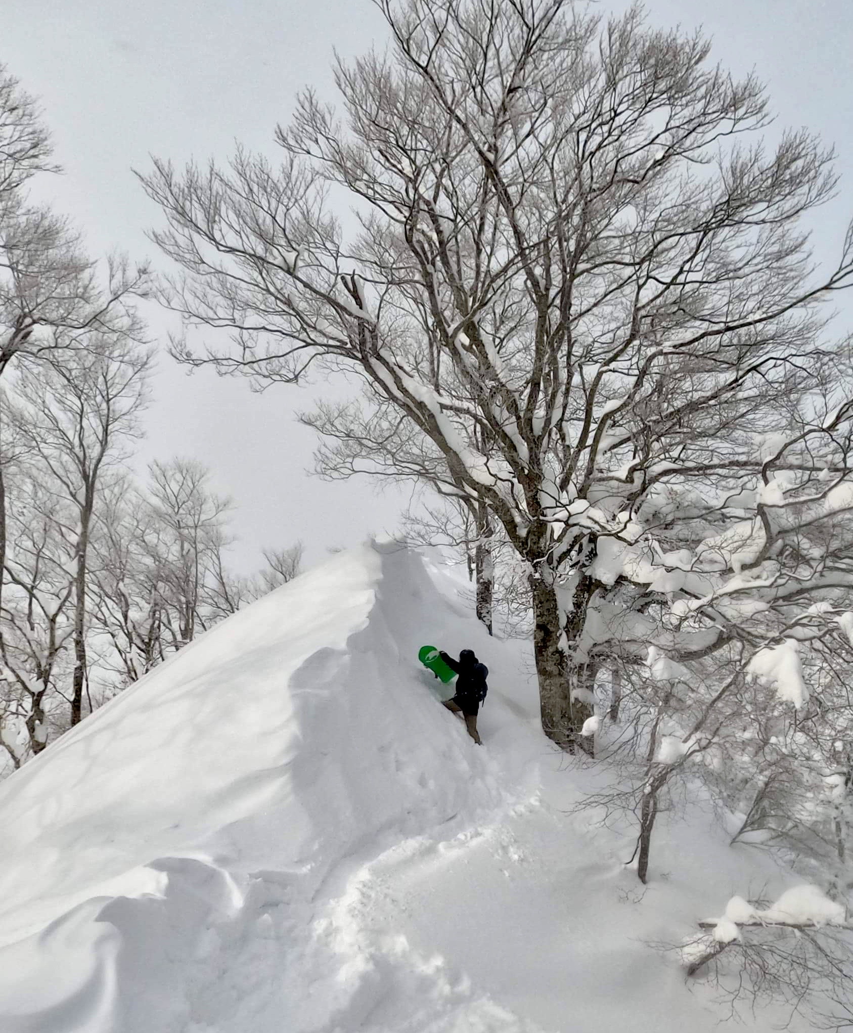 Mountains Nozawa Onsen Japan