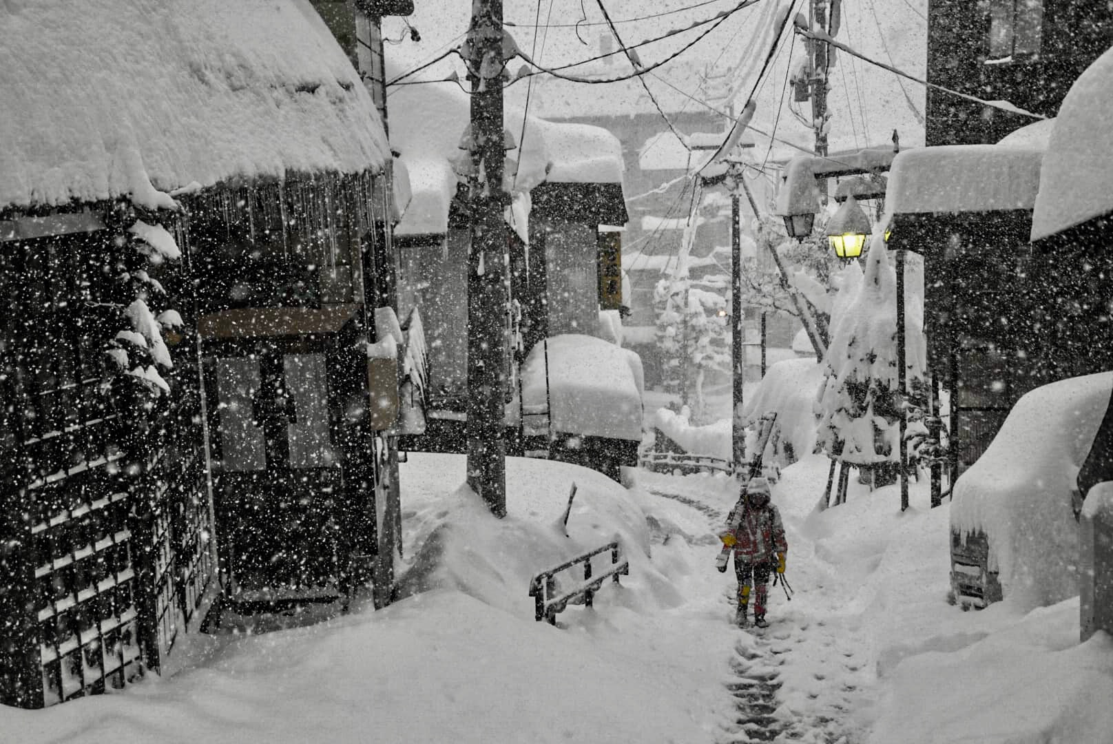 Powder Hounds Nozawa Onsen