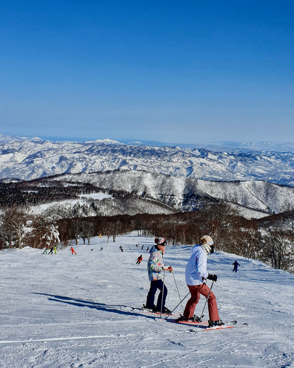 Best Time Visit Nozawa Japan