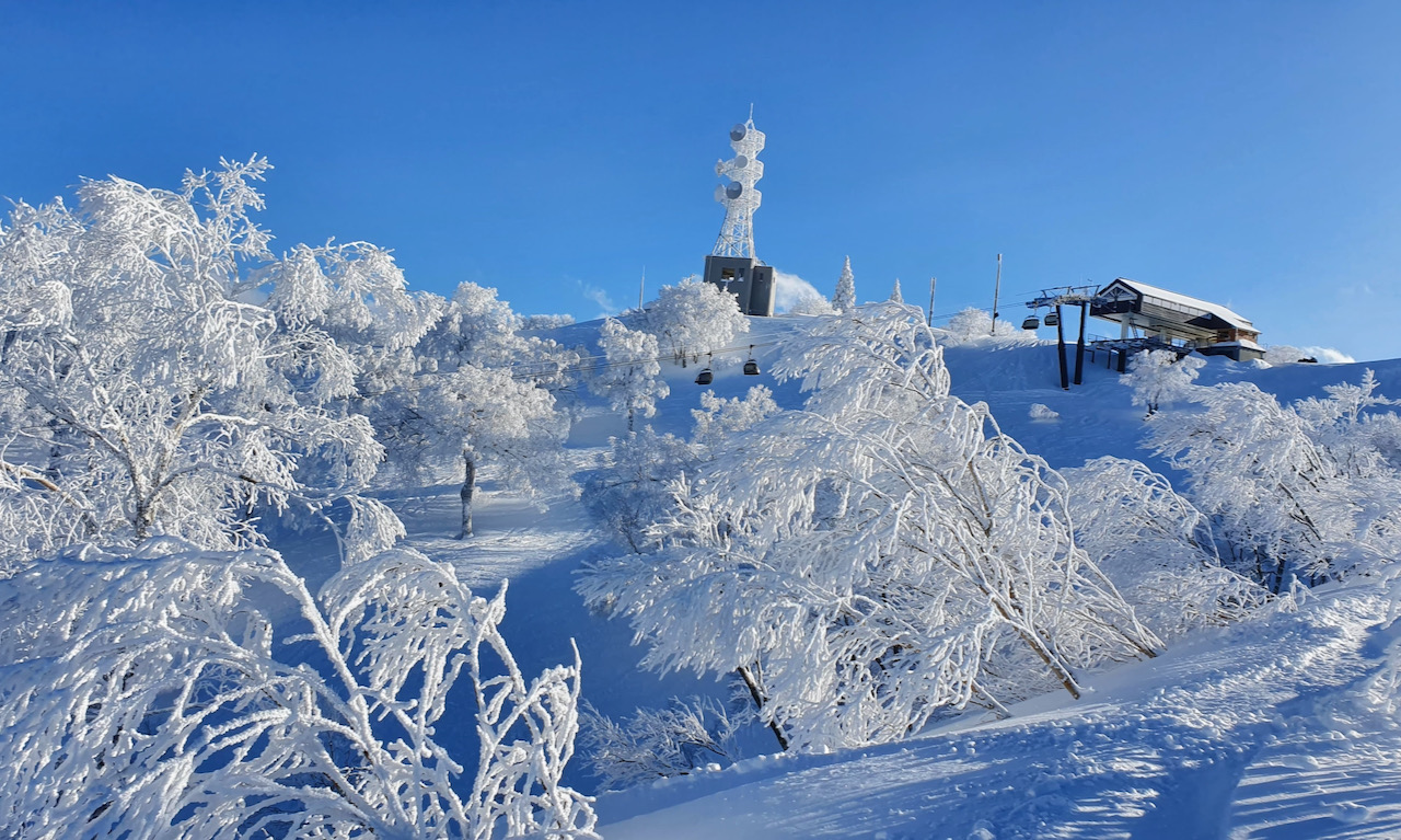 Is Nozawa Onsen Good?