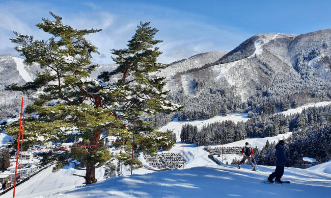 Live Cams Nozawa Onsen Japan