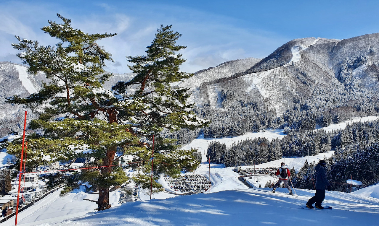 Live Cams Nozawa Onsen Japan 