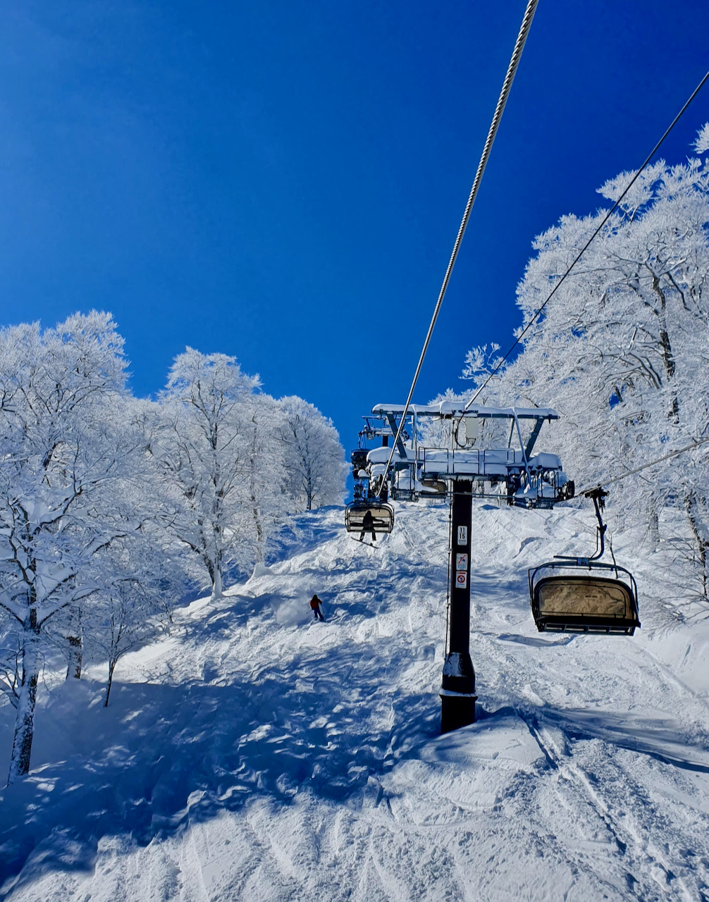Support Local Nozawa Onsen