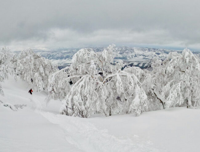 Weekend Ski Trip Japan