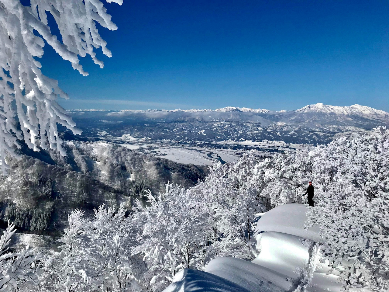 Nozawa Holidays are amazing 