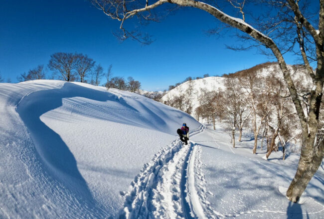 Great Spring Deals Ski Japan