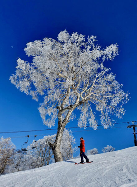 Nozawa Onsen Discounts Ski Japan