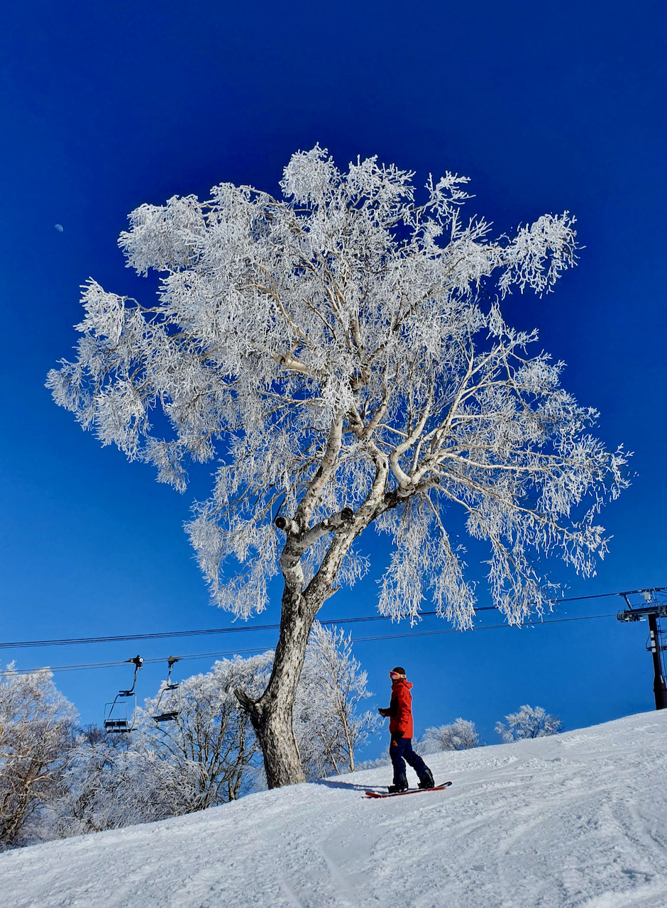 Nozawa Onsen Discounts Ski Japan 