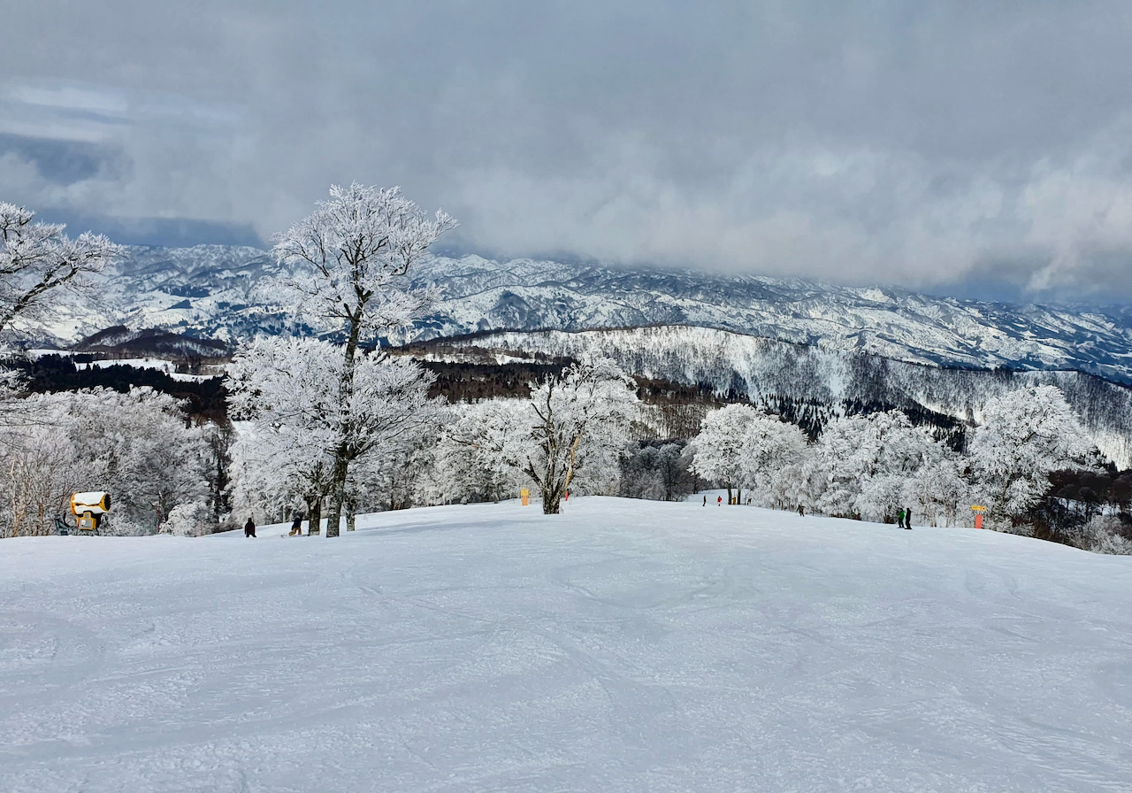 Expats Ski Holiday Japan