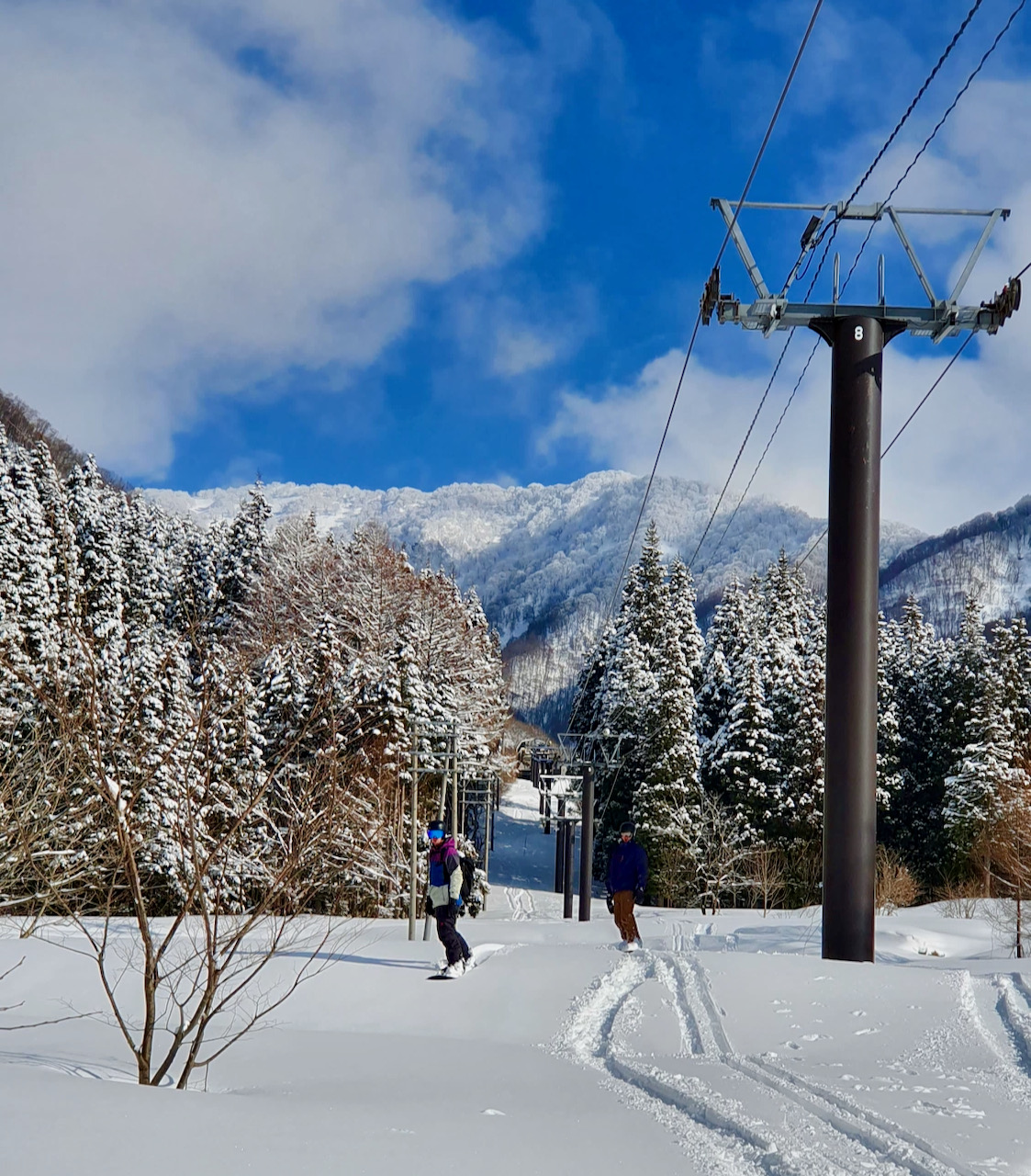 Ski Race Nozawa Onsen Japan 