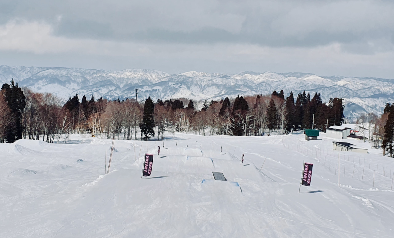 Snow Features Nozawa Onsen Japan 