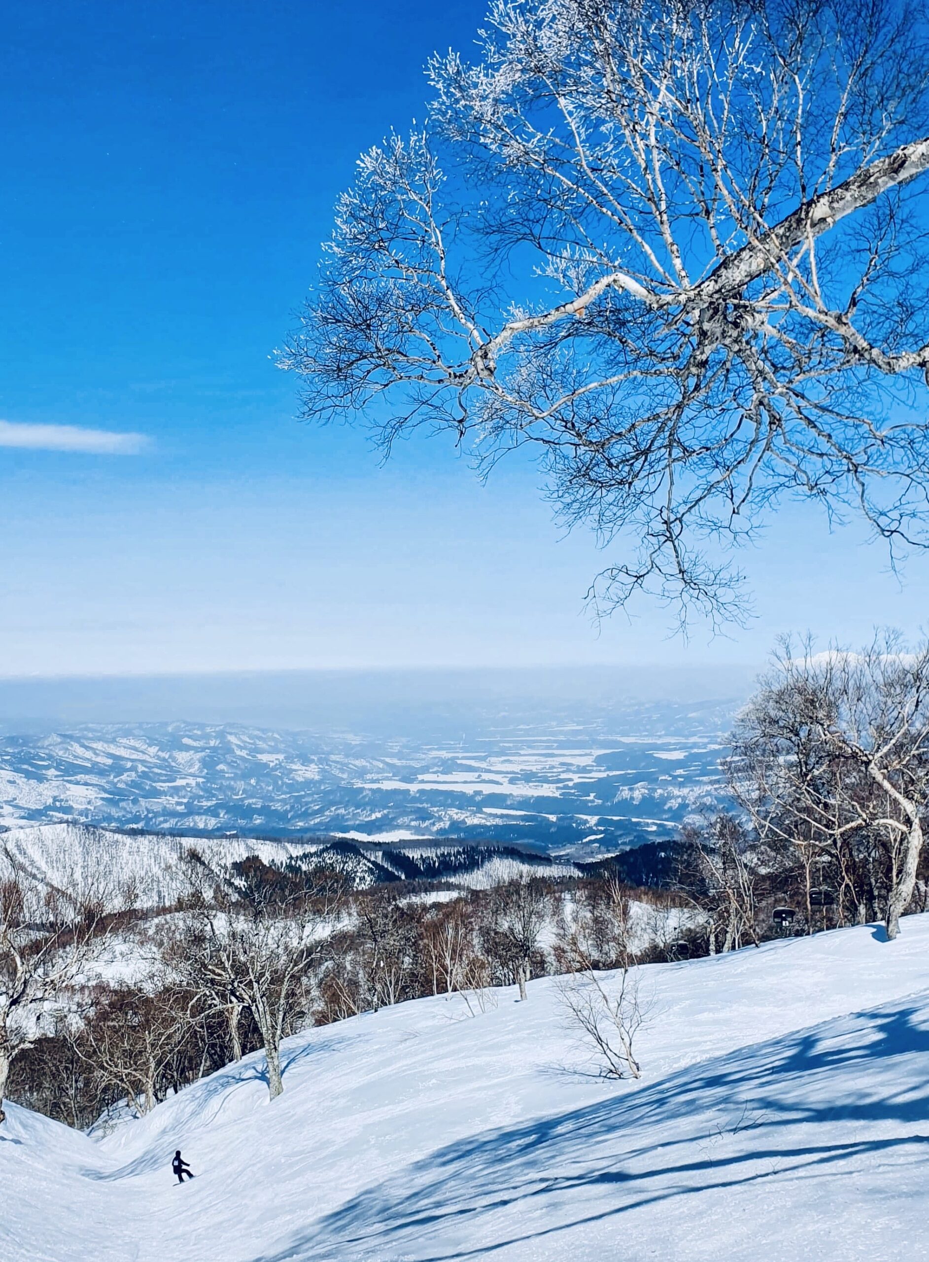 Must Do Nozawa Onsen Japan