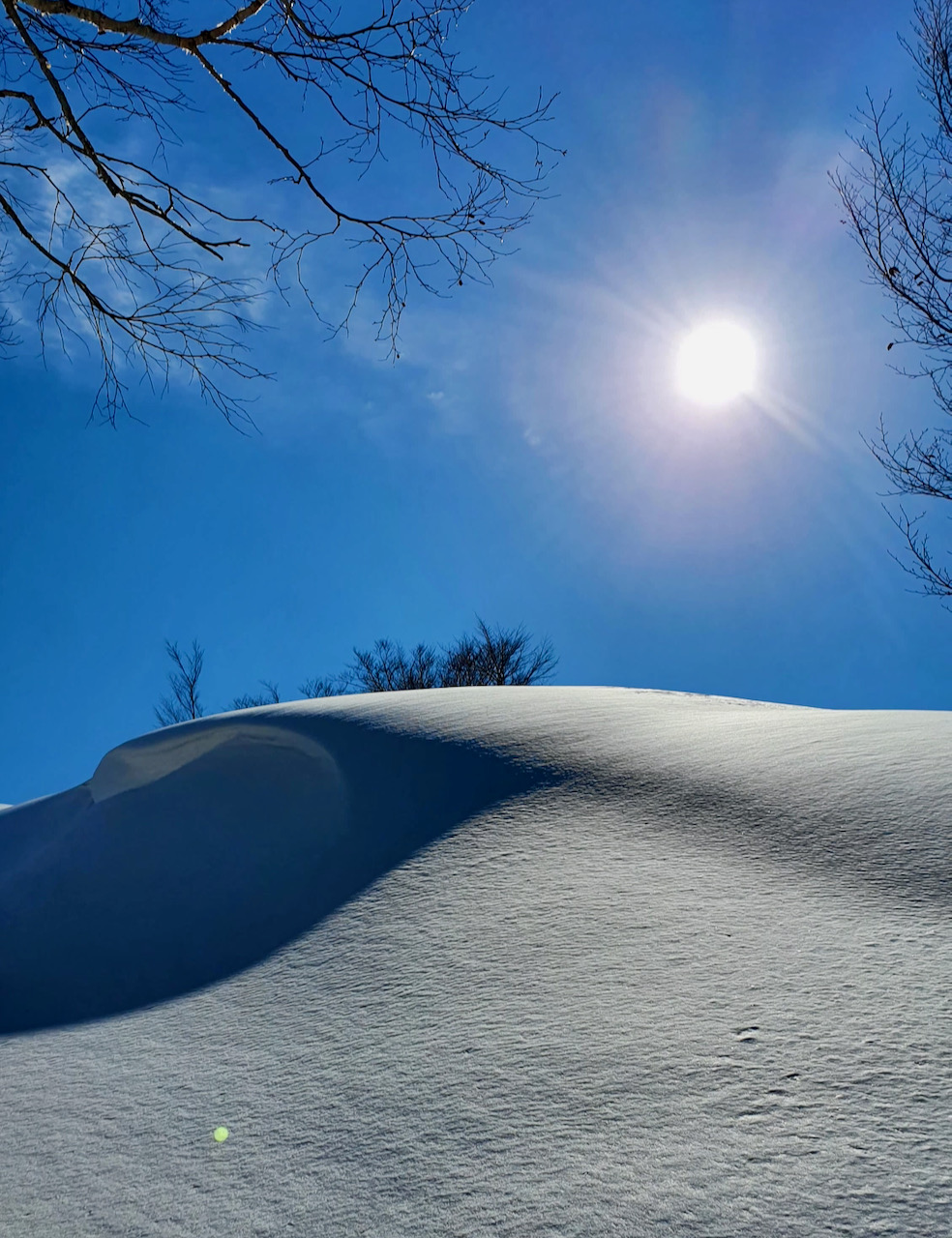 Best Time Ski Japan Nozawa