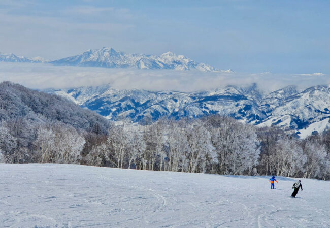 Home Office Nozawa Japan