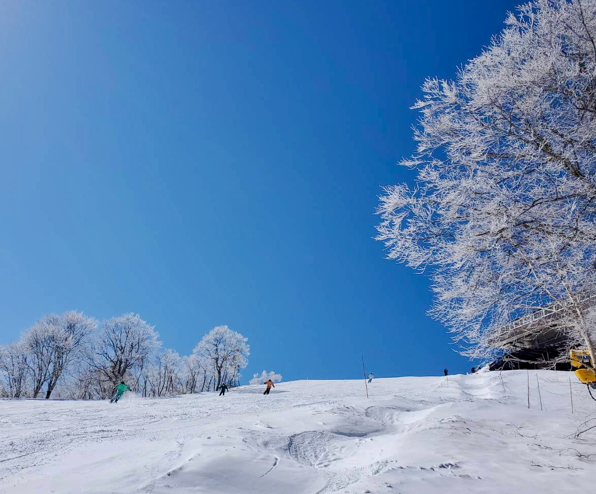 Ski Work Onsen Nozawa Japan