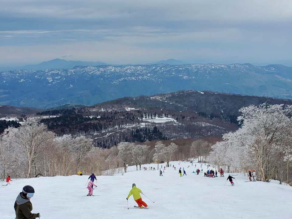 Best Place to Visit Japan 