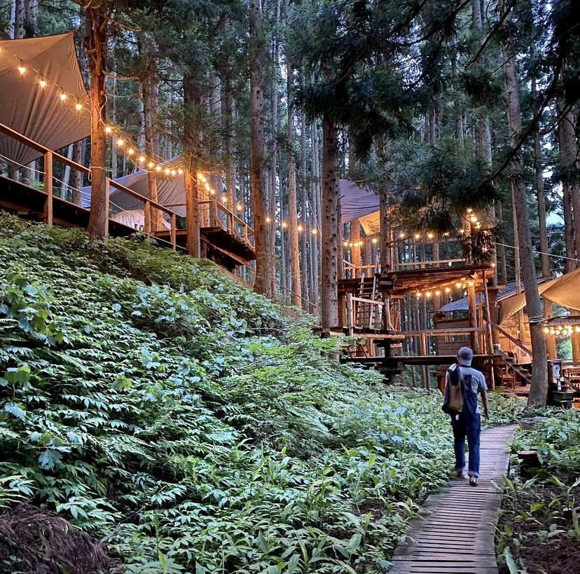 Tree House Nozawa Japan