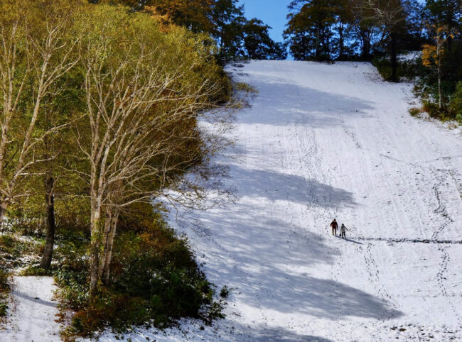 Season Accommodation Resort Japan