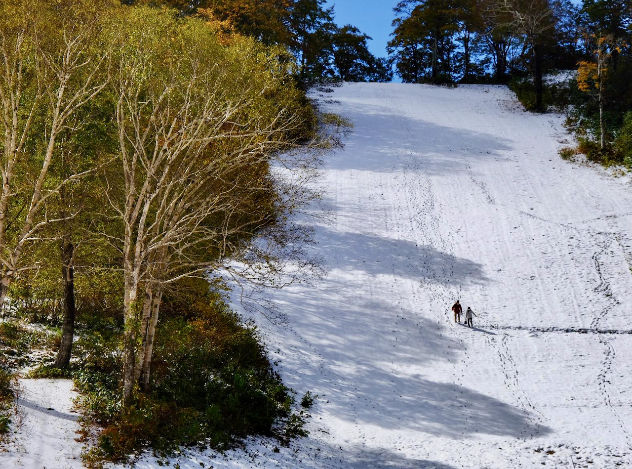 Season Accommodation Resort Japan 